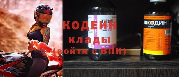 прущие грибы Балабаново