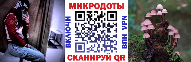 Галлюциногенные грибы мухоморы  Чекалин 